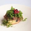 Утиная грудка с картофельным пюре в Бурбон по цене 920