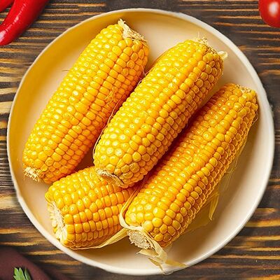 Горячая кукуруза в Моно Пицца по цене 220 ₽