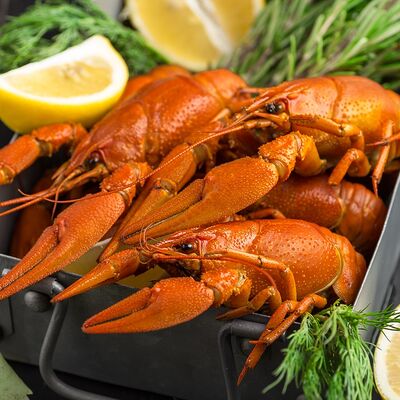 Рак премиум вареный в Раки Кусаки по цене 3680 ₽