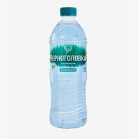 Вода Черноголовка детская питьевая, 500 мл в КофеНямия