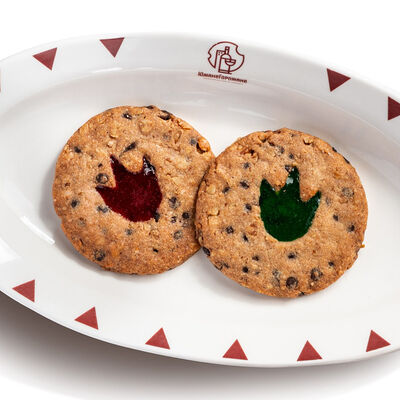 Дино-печенье с шоколадной крошкой в ЮжанеГорожане по цене 358 ₽