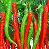 Z08 Острый перец (Сяомила) 50 гр (小米辣椒) в Chaoshan по цене 200