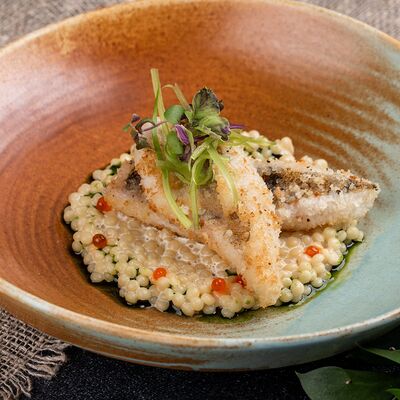 Судак Камский с птитимом в сливочном соусе в Гусь по цене 910 ₽