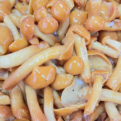 Салат из грибов опят в Пянсе по цене 219 ₽