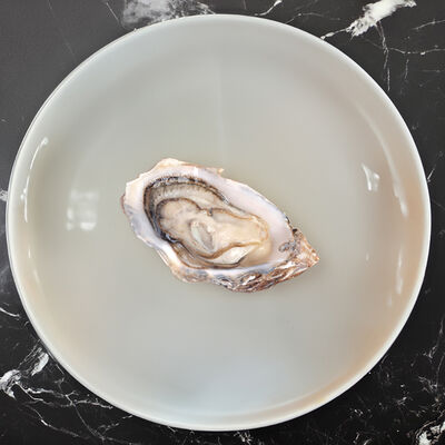 Устрица крымская в Вкусноморье по цене 590 ₽