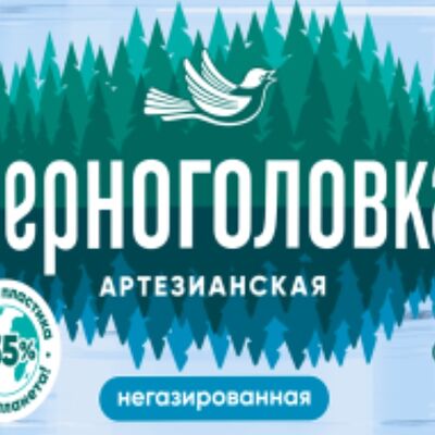 Вода негазированная Черноголовка в Шашлык Иркутск по цене 62 ₽