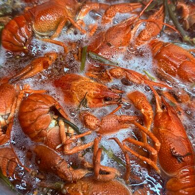 Раки отварные 20-40 в Пабл паб по цене 3900 ₽