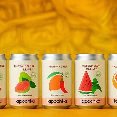 Лимонад Лапочкав Мидийная личность по цене 333 ₽