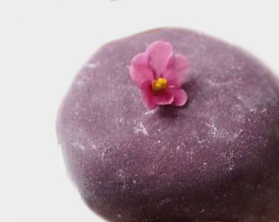 Моти черничный с фруктами в Bucho по цене 400 ₽