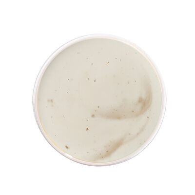 Соус Zotman в Zotman Pizza по цене 85 ₽