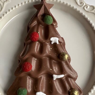 Зефир в шоколадев Fujibox по цене 1500 ₽