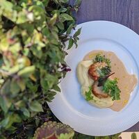 Котлеты куриные с грибным соусомв Современники