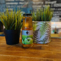 Rioba Яблоко в IPA beer cafe