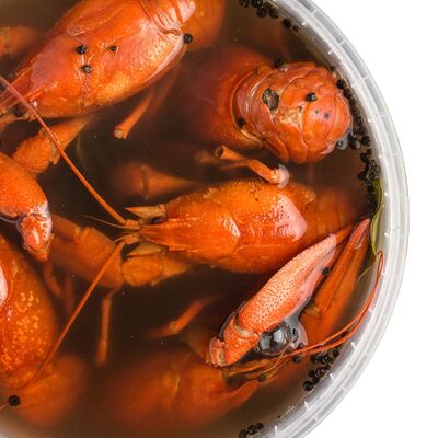 Рак отборный вареный в Раки Кусаки по цене 3000 ₽