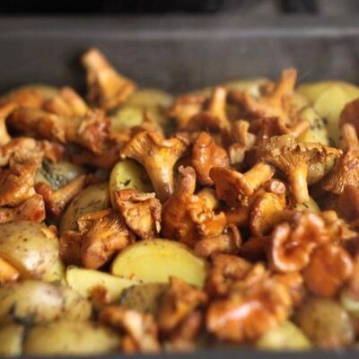 Картофель Бейби с лисичкамив Zov Огня по цене 630 ₽