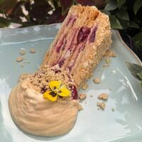 Наполеон ореховыйв Современники