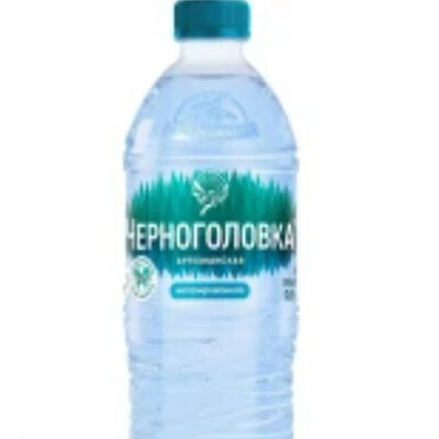 Черноголовка Вода негазированнаяв Eat and Go по цене 130 ₽