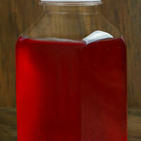 Домашний морс (0.3) в Чача