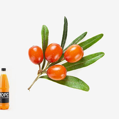 Морс облепиховый в Рыбарис по цене 160 ₽