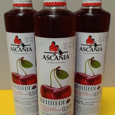 Ascania со вкусом вишни в Шаурма Айдахо по цене 140 ₽