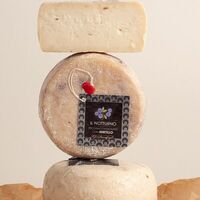 Пекорино тартуфо в Прошуттерия