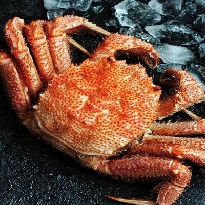 Краб Волосатик в Volga Рак по цене 2050 ₽