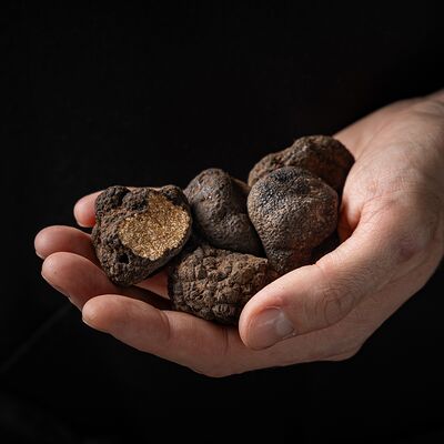 Трюфель 1 гр в Wine Region по цене 350 ₽