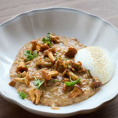 Ризотто с лисичками в Mushrooms по цене 1550 ₽